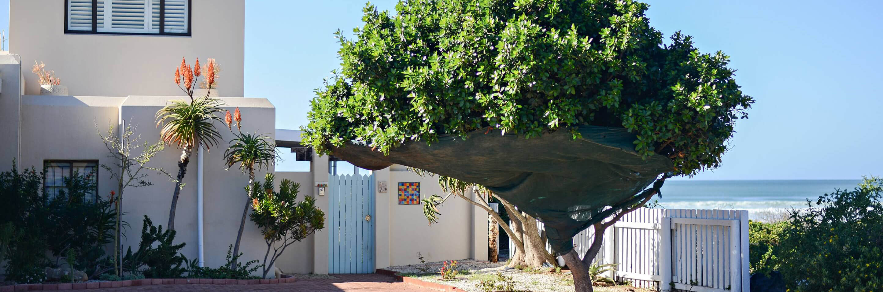 Chi Chi's Beach Beach